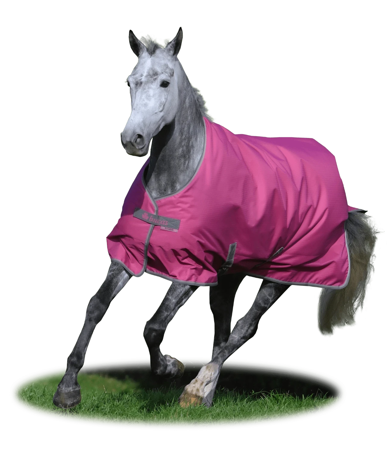 Derka padokowa Bucas Freedom T/O 150g - Cavalo